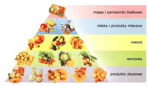 piramida żywienia