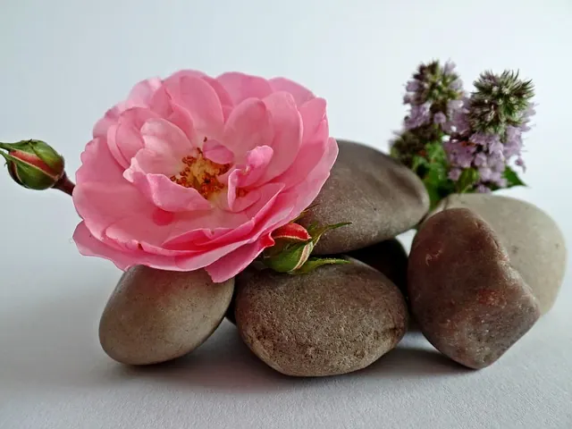 zen