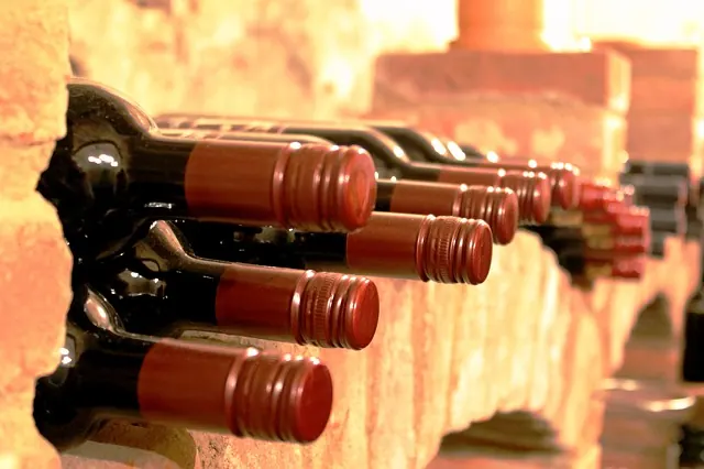 wino